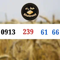 0913.238.66.26|سیم‌کارت|اصفهان, خواجو|دیوار