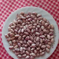 لوبیا چیتی درجه یک ارگانیک