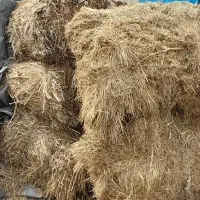 علف پریس برای گاو گوسفند