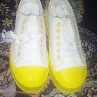 کفش|کیف، کفش، کمربند|آبادان, |دیوار