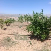 باغ1200متری