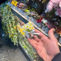 گل و گلدان کریستالی|گل مصنوعی|تهران, بازار|دیوار