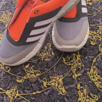 وسایل|ظروف سرو و پذیرایی|بیرجند, |دیوار