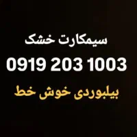 سیمکارت ۰۹۱۹.۰۹۱۲ خط ۰۹۱۹.۲۰۳.۱۰۰۳