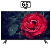 جشنواره تلویزیون های اسنوا