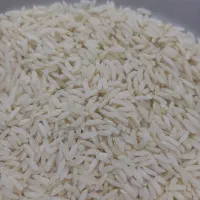 برنج محلی طارم هاشمی