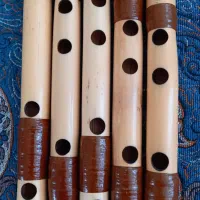 تعدادی ساز نی|سازهای بادی|اصفهان, چرخاب|دیوار