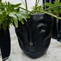 گلدان بزرگ و گل برگ انجیری
