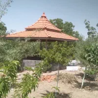 جوشکاری آلاچیق و سوله و اسکلت فلزی ساختمان|خدمات پیشه و مهارت|اصفهان, بهارستان|دیوار