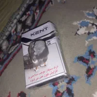 زیور آلات و عتیقه