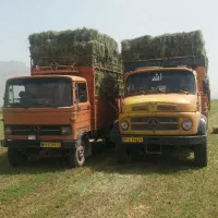 فروش یونجه درجه یک تحویلی نورآباد وحومه