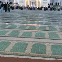 اتو پرس نگین زن