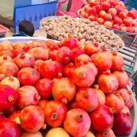 تفریح وتورگردشگری بانوان درمرودشت مقرون بصرفه|تور و چارتر|مرودشت, ثبت احوال|دیوار