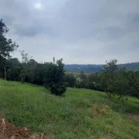 زمین باغی با ویو عالی|فروش دفتر صنعتی، کشاورزی، تجاری|قائمشهر, |دیوار