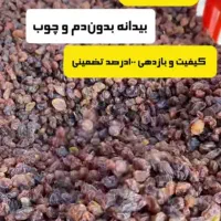 مویز کشمش بی دانه کشمش پلویی و...|خوردنی و آشامیدنی|اصفهان, بهرام‌آباد|دیوار