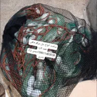 جل وتخته قایق لنج