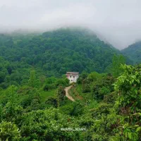 300متری-دل-جنگل