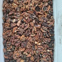 مغز گردو چینی