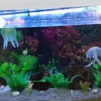 آکواریوم با تمام تجهیزات