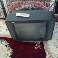 تلوزیون