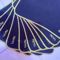 ۱۰ عدد پد موس تسکو