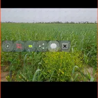 زمین کشاورزی ۸ هکتار سند ثبتی تک برگ با چاه آب|فروش دفتر صنعتی، کشاورزی، تجاری|برازجان, |دیوار