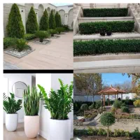 کلیه خدمات باغچه تعویض خاک گل گلکاری باغچه هرس