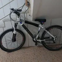 ویوا پاریس