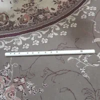 فلوت