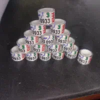 زاهدان پلاک کبوتر سراوان پلاکی پرشی