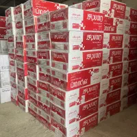 پکیج L28FF iranradiator