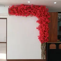 درختچه دیواری شکوفه ال L سرخابی