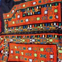 زیاستین جدید ماهی 1