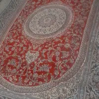 فرش ۶متری|فرش|دورود, |دیوار