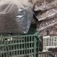 محصولات ارگانیک چای وعسل محلی سیاهمزگی|خوردنی و آشامیدنی|رشت, یخسازی|دیوار