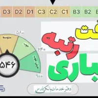 ضامن c هستم چک دار