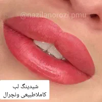 ۴۰درصدتخفیف شیدینگ لب به مدت وبه تعدادمحدود|خدمات آرایشگری و زیبایی|شیراز, کوی زهرا|دیوار