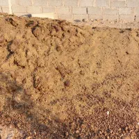 کود گوسفندی