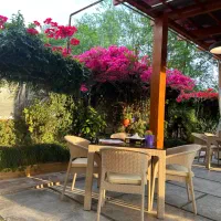 سالندار خانم استخدام در کافه کوشال چالوس