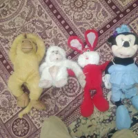 عروسک|اسباب‌‌بازی|بروجرد, |دیوار