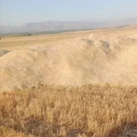 کاه