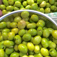 فروش زیتون تازه و باکیفیت