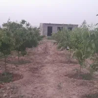باغ-ملکی-چسبیده-به-بافت-ماریان