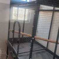 قفس پرنده