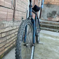 دوچرخه|دوچرخه، اسکیت، اسکوتر|مزرعه کتول, |دیوار