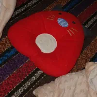 قنداق فرنگی|کالسکه و لوازم جانبی|پاکدشت, حصار امیر|دیوار