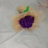 گل مینیاتوری