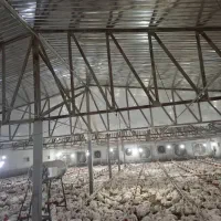 کارگر و  نگهبان