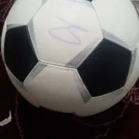 توپ چمن|ورزشهای توپی|لردگان, |دیوار