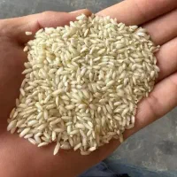 برنج محلی عنبربو ضمانتی